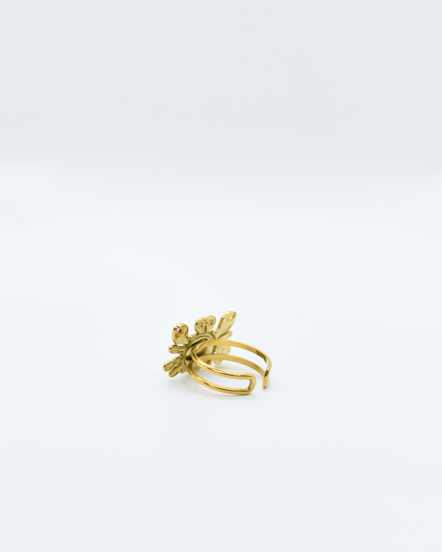 De La Arena - Anillo