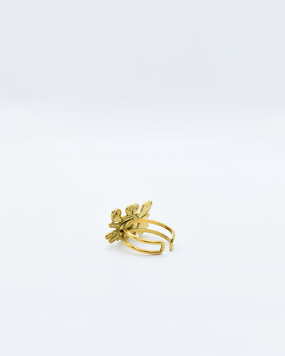 De La Arena - Anillo