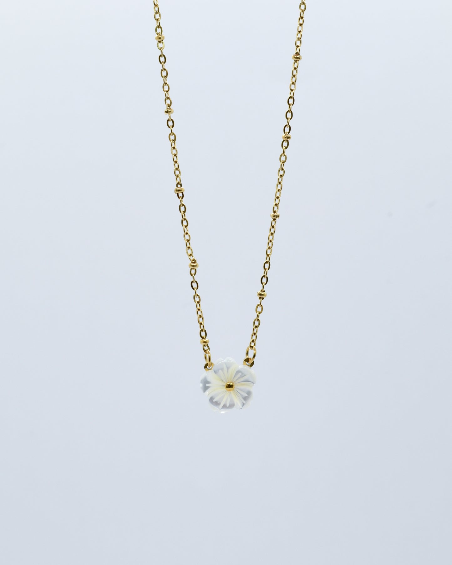 Flor de Playa - Cadena