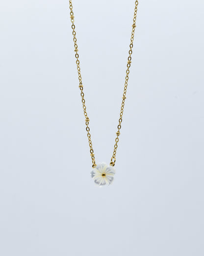 Flor de Playa - Cadena