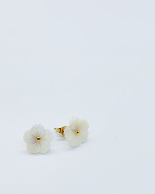 Flor de Playa - Pantallas